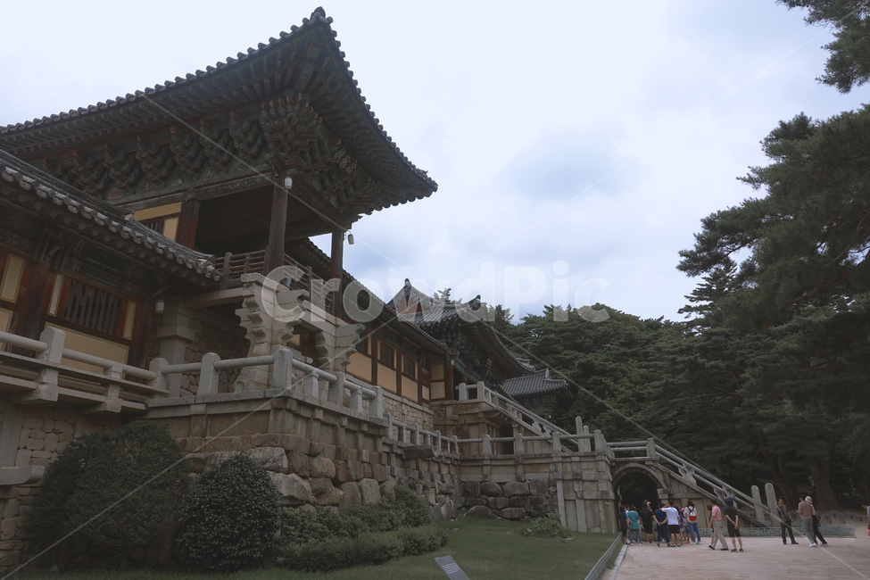 불국사,사원,절,불교,종교,한국미,전통미,건축미,랜드마크,유적지,신라시대,신라건축,신라,building,건물,architecture,건축물,temple,신전,한국전통,한국문화,korean traditional,korean culture,랜드마크,landmark,tourist attraction,한국랜드마크,한국관광지,한국명소,korea landmark,korea tourist attraction,건축물,건물외관,exterior,building,structure,architecture,construction