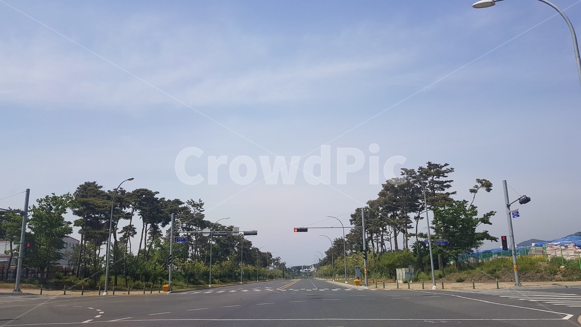 도로,교차로,freeway,road,고속도로,자연,풍경,nature,landscape