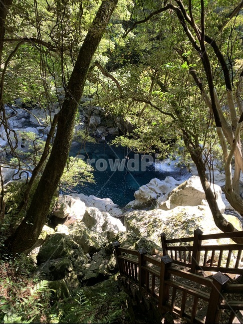 nature,자연,water,물,outdoors,옥외,waterfall,폭포,제주도,돌,물줄기,tree,나무,plant,식물,treetrunk,나무줄기,자연,풍경,nature,landscape