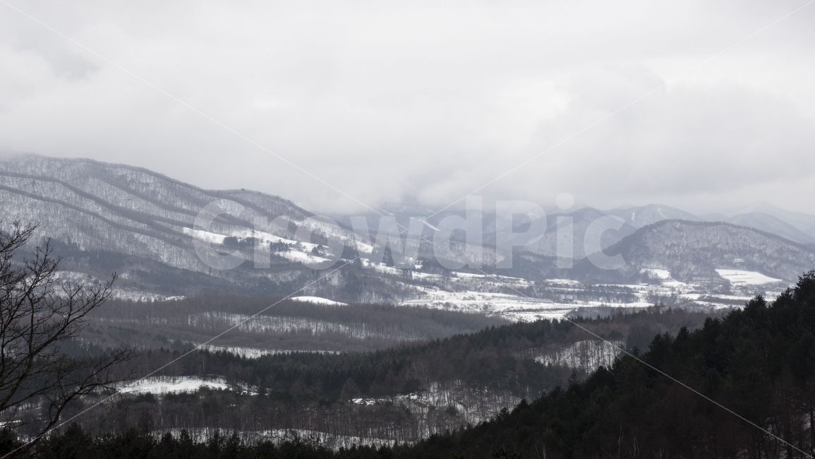 양떼목장,대관령,겨울,눈,산,겨울산,winter,mountain,자연,풍경,nature,landscape,겨울,계절,winter,season,outdoors,옥외,mountain range,산맥,tree,나무,plant,식물,fir,전나무