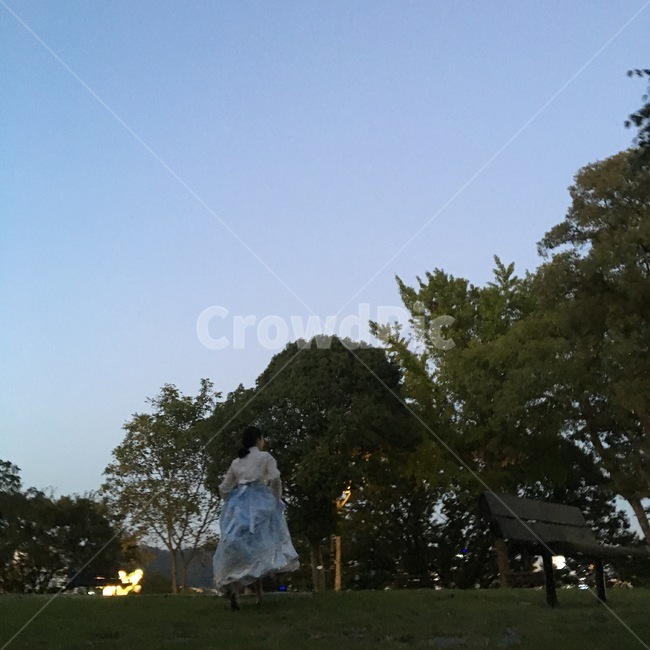 한복,퓨전한복,언덕,나무,치마