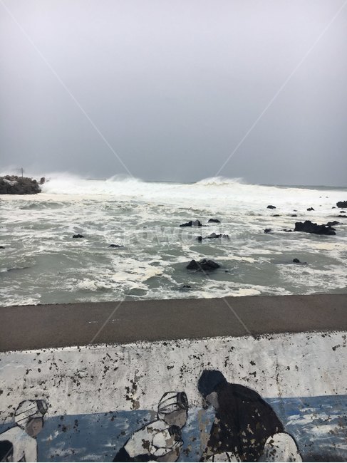 솔라,제주도,태풍,파도,무서움,서귀포,해안,바람