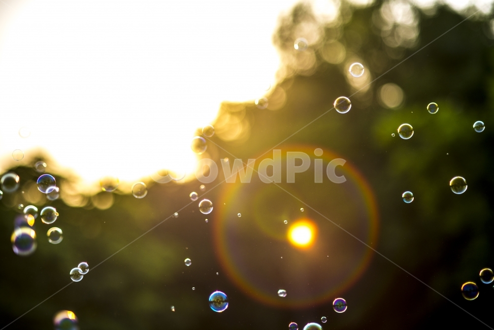 wallpaper,물방울,비눗방울,빛,보케,bubbles,light,bokeh,감성,sensible,feeling,휴식,힐링,rest,relaxation,healing