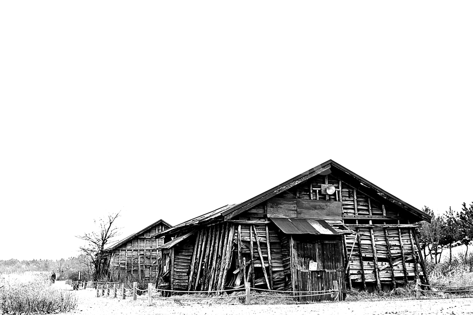 소금창고,갈대,자연,풍경,나무집,흑백,모노톤,monochrome,black and white,건축물,건물외관,exterior,building,structure,architecture,construction