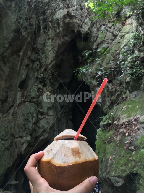 코코넛,코코넛주스,동굴,자연,여행,신비로운분위기,음료수,drink,beverage
