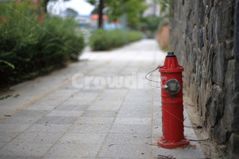 길,도로,way,road,풍경,ladnscape
