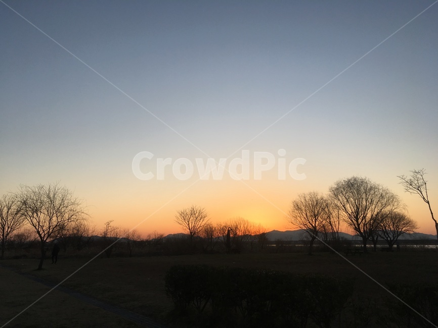 노을,석양,나무,sunset,nature
