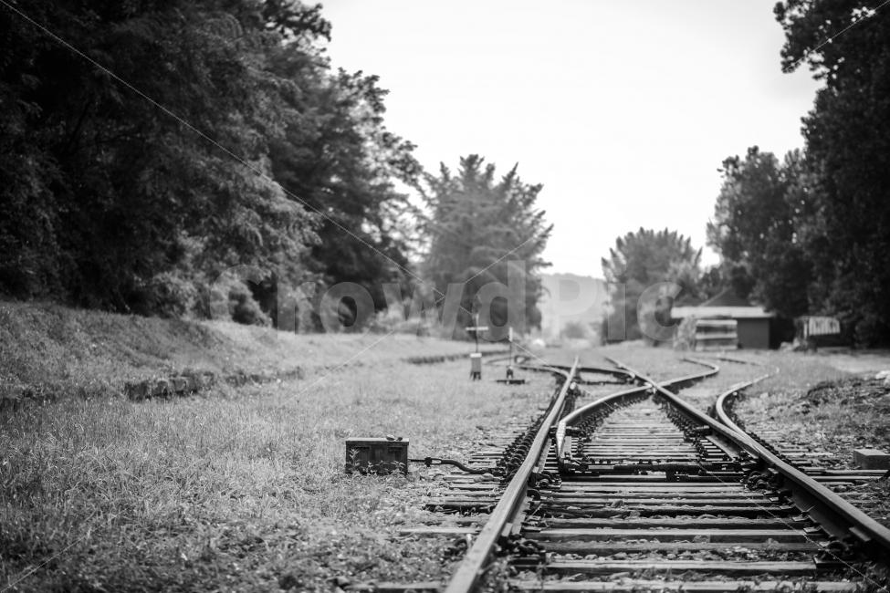 철도,흑백,오후,철길,감성,교통,교통수단,traffic,transportation,흑백,모노톤,monochrome,black and white,train track,기찻길,railway,rail,레일