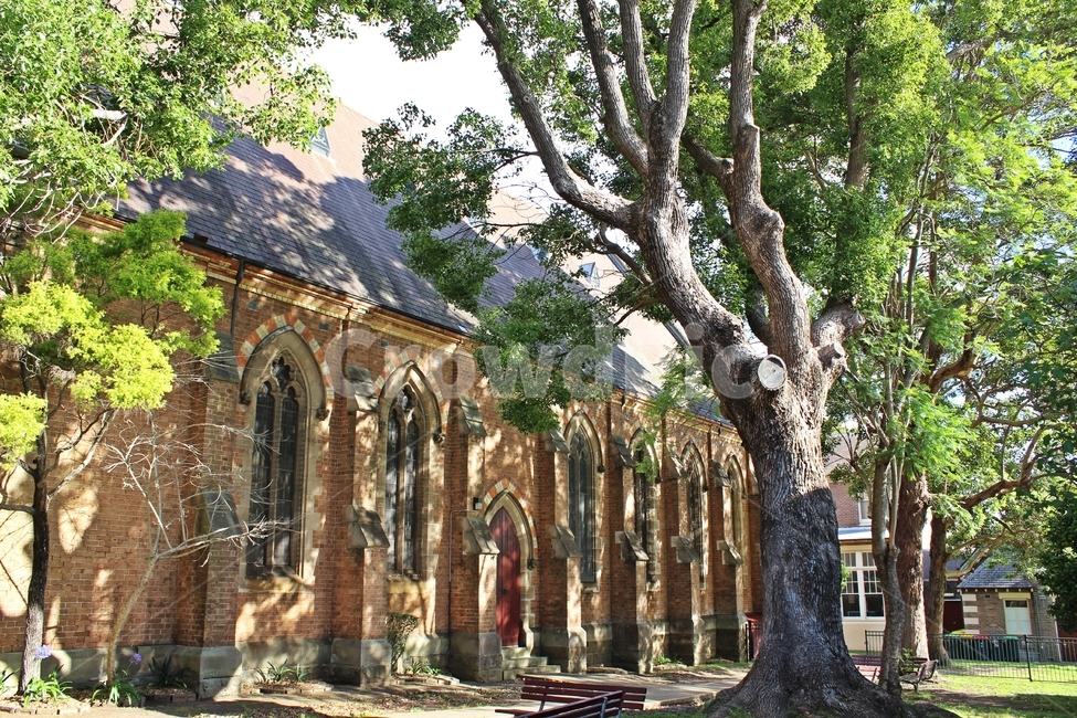 시드니,성당,애쉬필드,presbyterianchurch,ashfield,자연,풍경,nature,landscape,해외,외국,세계,foreign,oversea,world,세계자연풍경,해외자연풍경,외국자연풍경,world nature landscape,종교,신앙,religion,belief,faith,건축물,건물외관,exterior,building,structure,architecture,construction,plant,식물,tree,나무,tree trunk,나무 줄기