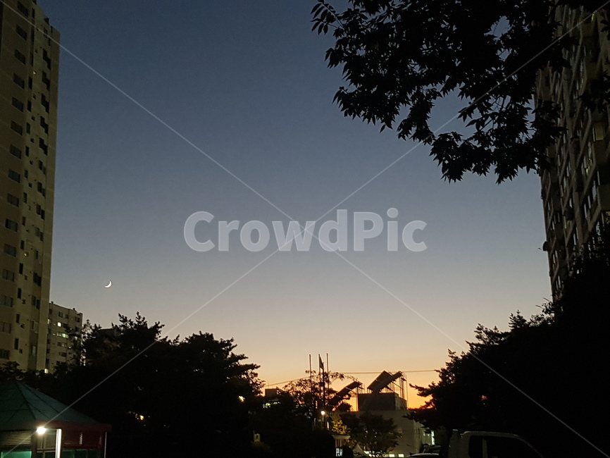 초승달,새벽,dawn,moon,flare,silhouette,nature