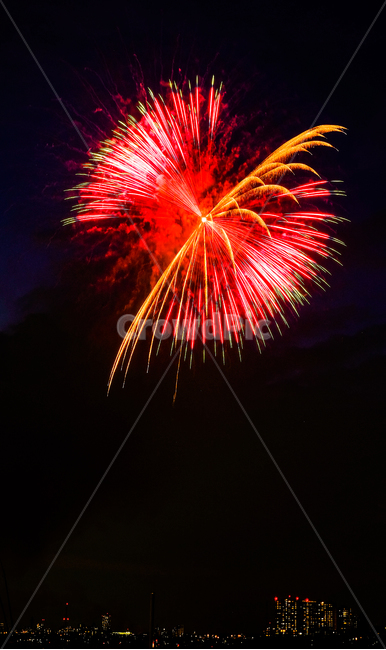 night view,hanabi,Tokyo,light,Japan,night,fireworks festival,fireworks