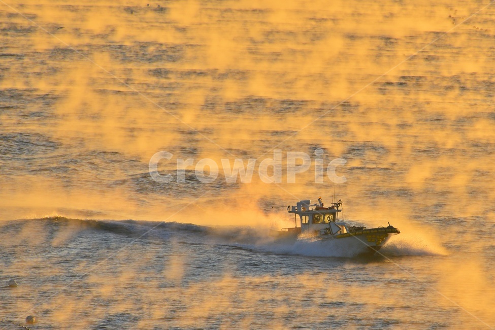 울산,강양항,물안개,강양항귀항,귀항,멸치잡이배,바다,물,배,watercraft,선박,어업,fishery,fishing industry