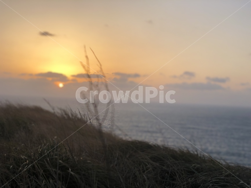 석양,갈대,바다,수평선,노을,파도,하늘,해안가,절벽,sunset,reed,sea,wave,sky,bluff,horizon,자연,풍경,nature,landscape,grass,잔디,plant,식물,outdoors,옥외