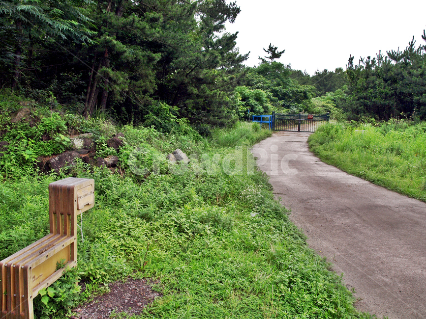 간세,스탬프,농로,솔숲,제주,올레19코스,올레길,숲길,자연,풍경,nature,landscape