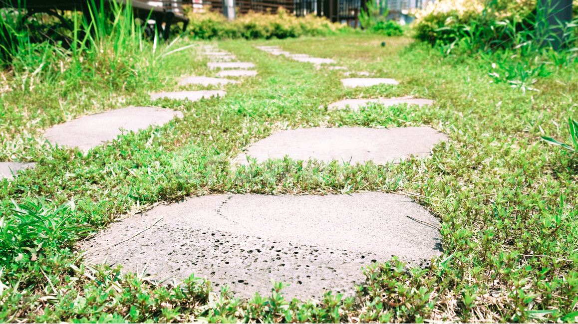 자연,돌다리,길,풀,돌,자연,풍경,nature,landscape,식물,plants,flagstone,판석,path,통로,ground,바닥