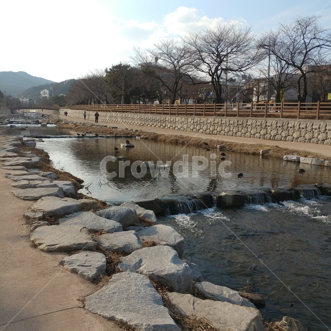 풍경,강가,황새,뱁새,나무,구미시,오리,자연,풍경,nature,landscape,flagstone,판석,walkway,보도,path,통로