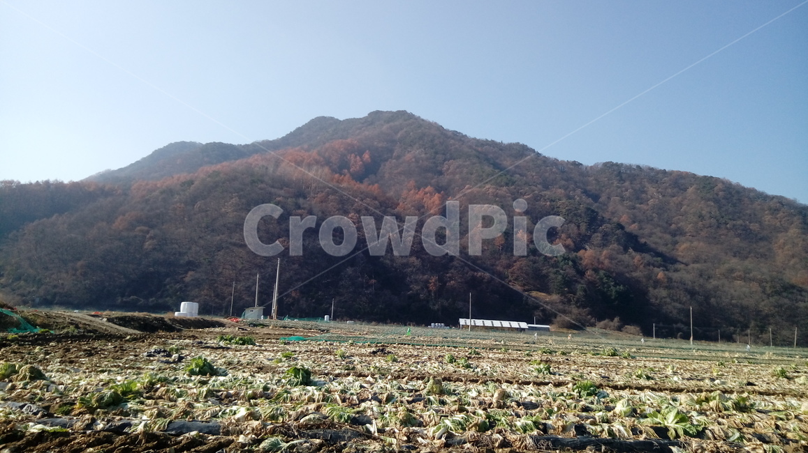 산,자연,배경,가을,산맥