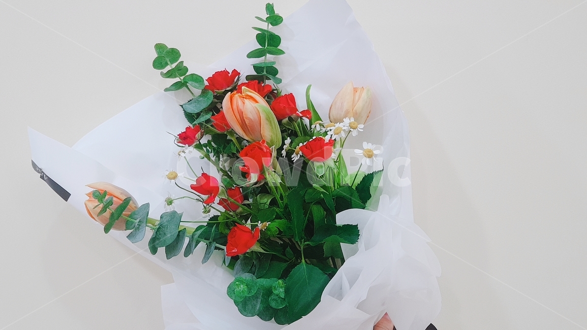 꽃다발,장미,기념일,프로포즈,서프라이즈,꽃,flower,기념일,축하,anniversary,congratulation,celebrate,celebration