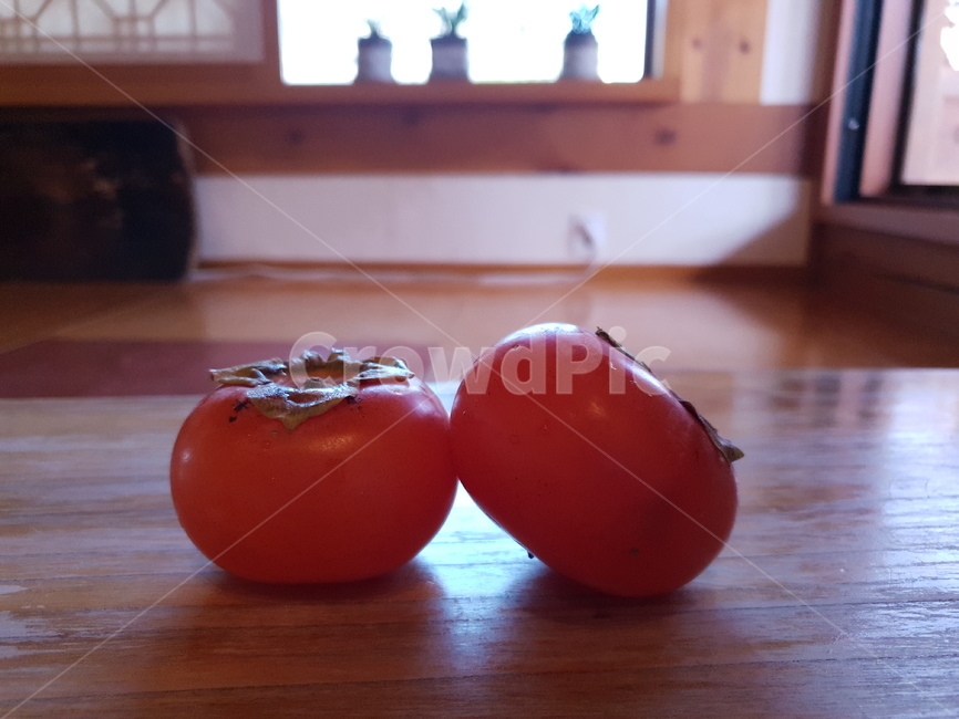 감,식물,과일,food,식품,홍시