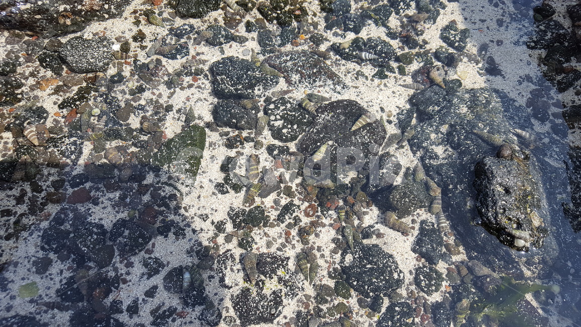 여름바다,바다풍경,푸른바다,sea,바다
