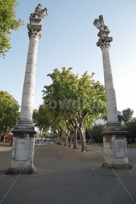 	여행,스페인,세비야,travel,spain,seviila,조각상,동상,석상,조형물,statue,bronze statue,stone statue,해외,외국,세계,foreign,oversea,world