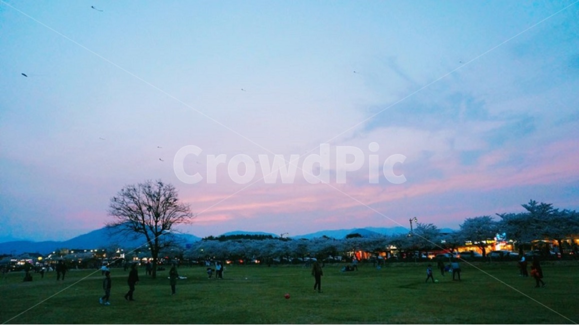 공원,하늘,노을,산책,조용한,park,sunset,purplesky,bluesky,purple,blue,calm,family,walk,stroll,소풍,picnic,저녁,나무,tree,잔디,grass,자연,풍경,nature,landscape,한국자연풍경,한국자연경관,korea nature landscape,사람들,대중,군중,other people,crowd,plant,식물,outdoors,옥외,human,인간,person,사람
