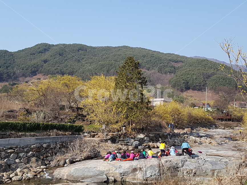 구례산동마을,산수유축제,산수유마을,지리산,봄축제