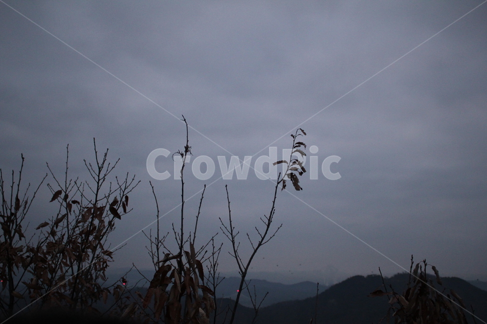 흐림,우울,구름많음,자연,풍경,nature,scenery