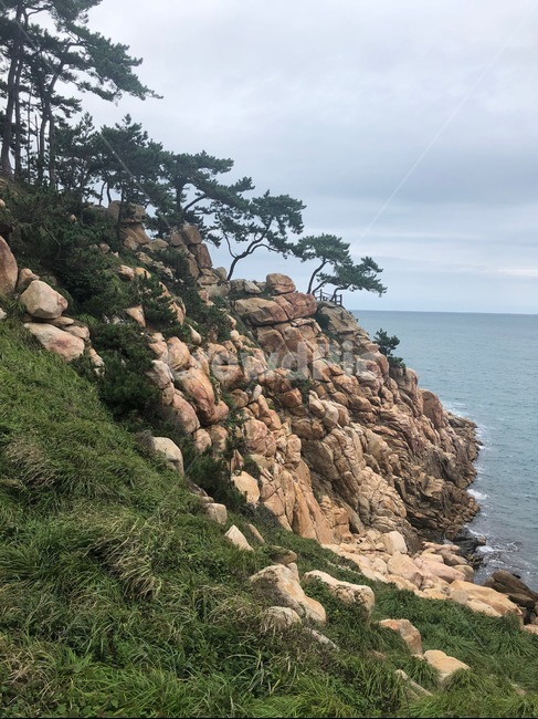 바다,하늘,나무,바위,풍경