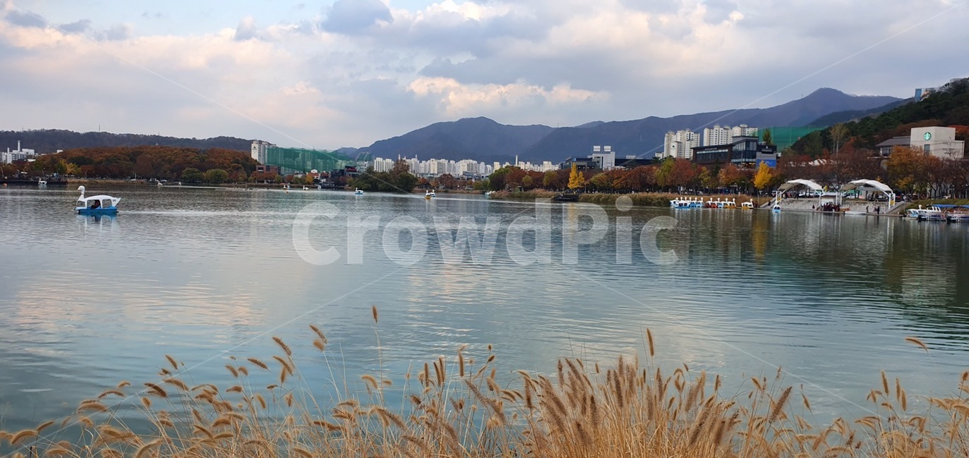 자연,nature,수성못,가을,호수,lake,plant,식물,grass,잔디,water,outdoors,옥외