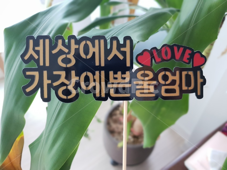 엄마,사랑,데이트,마음,예쁜딸,가족,패밀리,family