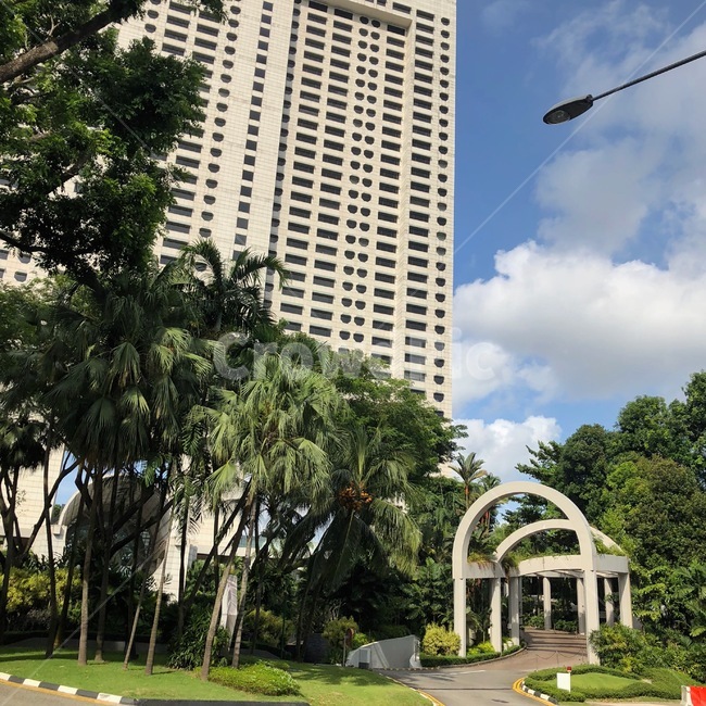 풍경,건물,해외,싱가폴,구름,나무,빌딩,싱가포르,하늘,도로,길,singapore,oversea,tree,sky,building,road,cloud,해외,외국,세계,foreign,oversea,world