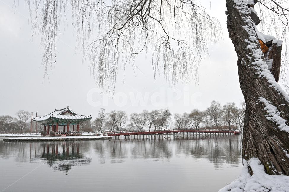 궁남지,눈내린풍경,겨울풍경,겨울,백제,연못,정원,건물,나무,겨울,계절,winter,season
