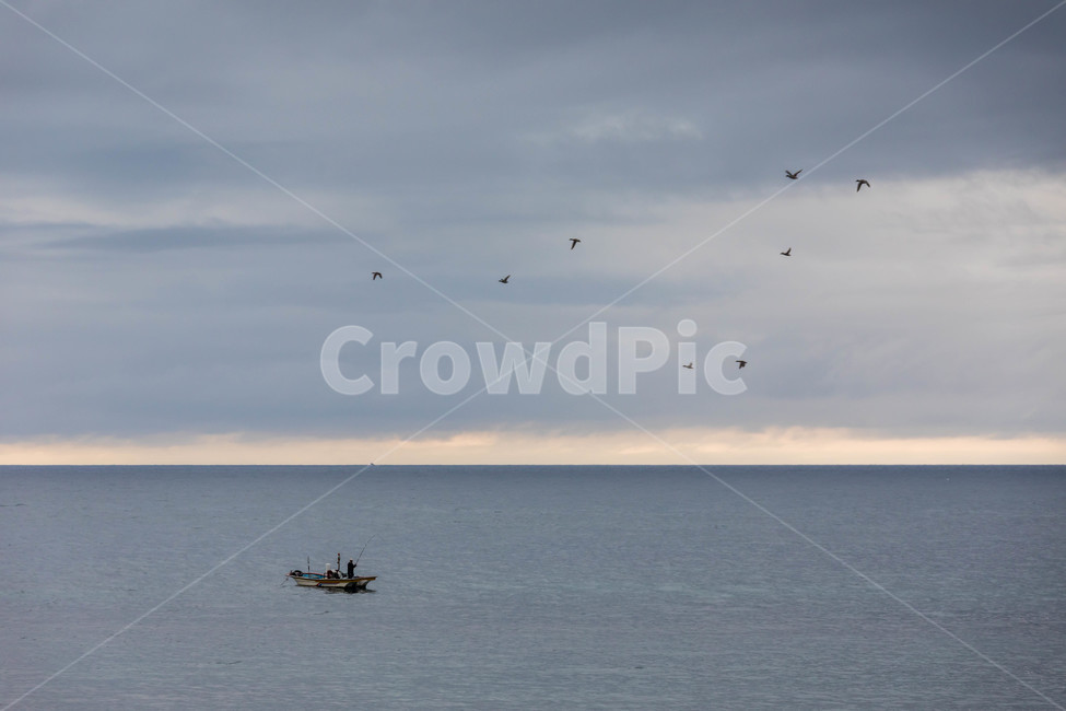 바다,배,바다풍경,sea,수평선,자연,풍경,nature,landscape,산업,industry,industrial,어업,fishery,fishing industry,animal,동물,bird,새