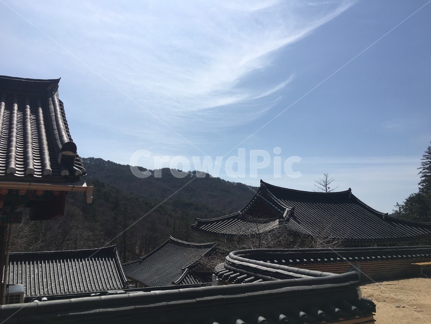 절,팔작지붕,하늘,전통건축,사찰,기와,기와지붕,조화