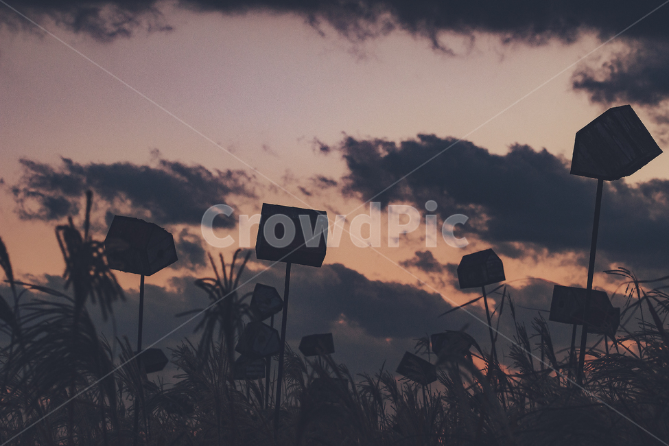silhouette,실루엣,nature,자연,옥외,outdoors,노을,sunset