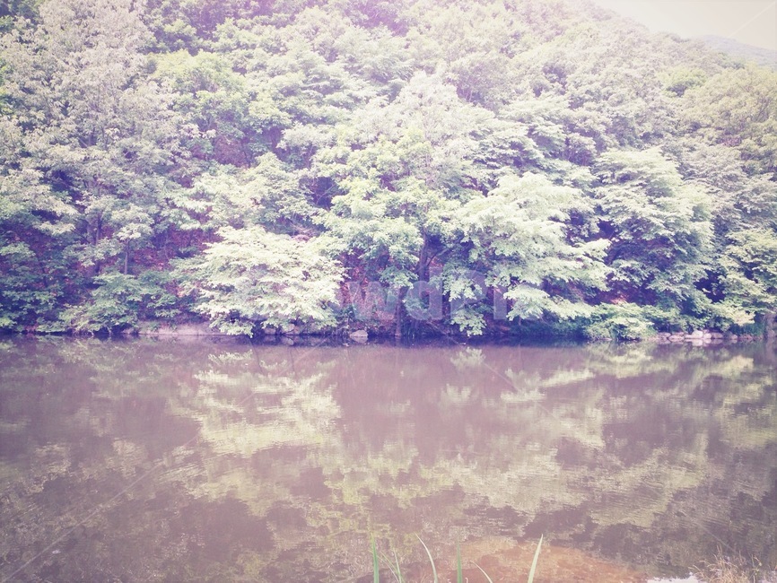 옥외,nature,자연,water,물,outdoors