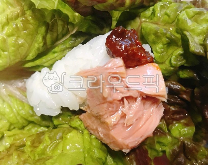 쌈밥,참치쌈,쌈,쌈채소,참치,캔참치,상추쌈,야채,채소,상추,쌈장,고추장,쌀밥,쌀,밥,백미,음식,식사,식재료,lettuce,food,vegetable,cook,rice