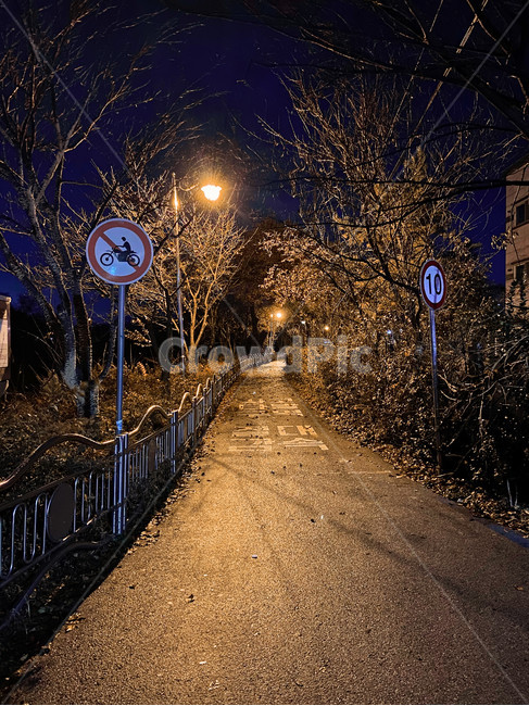 산책로,어두운,가로등,운동,asphalt,골목길,alley