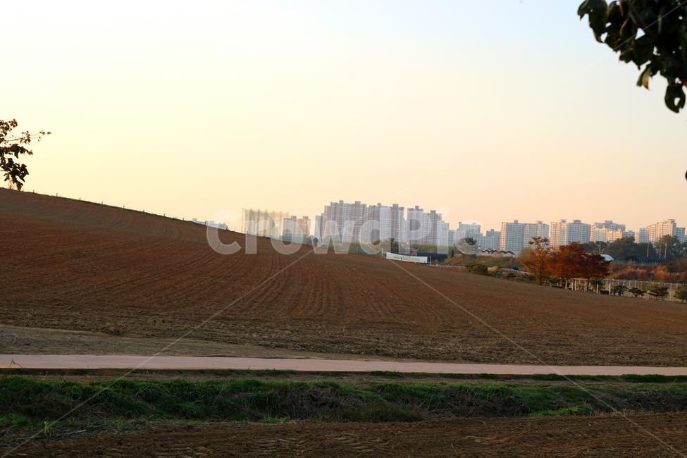 들판,밭,농사,벌판,안성팜랜드,자연,풍경,나무,식물,관광지,산책로,흙,농업,농사,agriculture,farming,farming industry