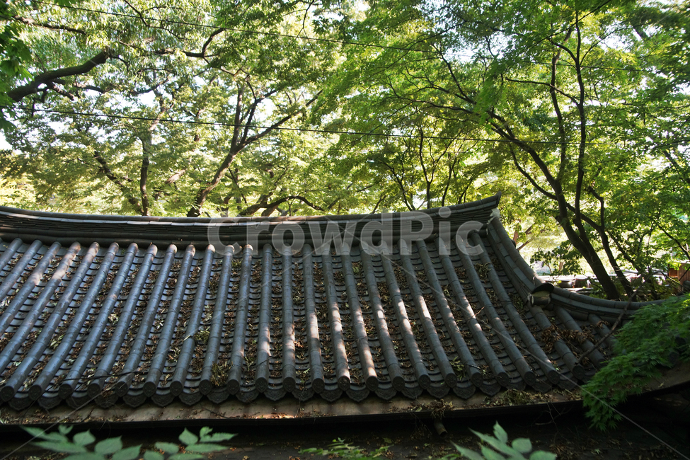 길상사,사찰,성북동,불교,절,기와,한옥,전각,한국전통,한국문화,korean traditional,korean culture,건축물,건물외관,exterior,building,structure,architecture,construction