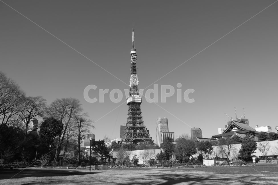 일본,도쿄,도쿄타워,흑백,흑백사진,감성,일본감성,tokyo,tokyotower