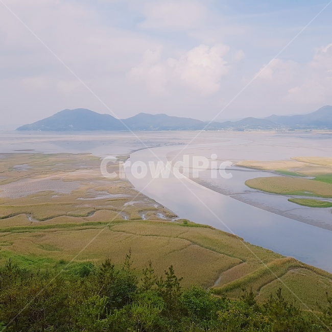 전라남도,순천,순천만,순천만습지,습지,세계5대연안습지,람사르습지,s곡류,suncheonbay,순천만생태습지,하늘,구름,파란하늘,여름,여름하늘,용산전망대,칠면초