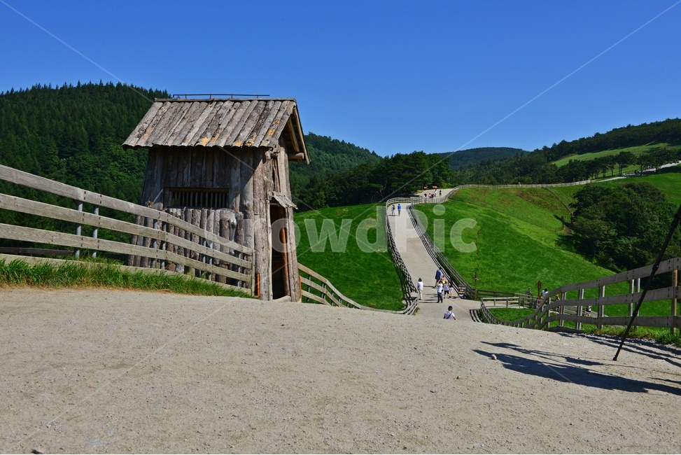 대관령,양떼목장,대관령양떼목장,grassland,목초지,field,들,outdoors,옥외,nature,자연,rural,농촌,farm,농장,pasture,목장,human,인간,person,사람