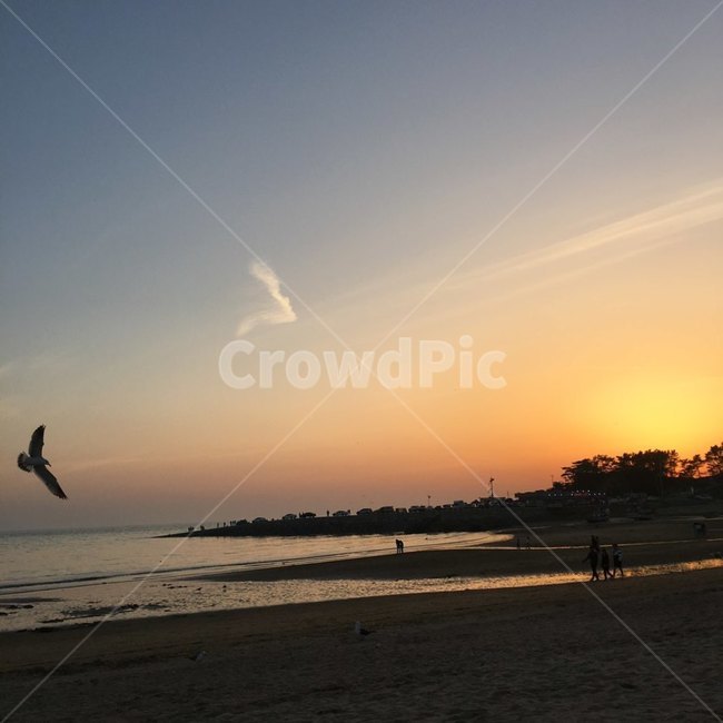 노을,바다,을왕리,새,밤,경치,그리움,beach,물,water,해,달,하늘,나무,자연,구름