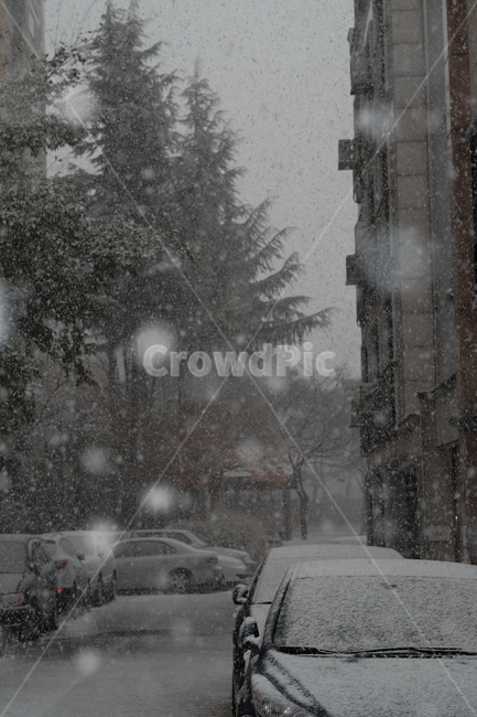 함박눈,골목길,snow,눈,길거리,nature,자연,outdoors,옥외,blizzard,눈보라,storm,폭풍,winter,겨울,car,차,transportation,교통,automobile,자동차,vehicle,차량