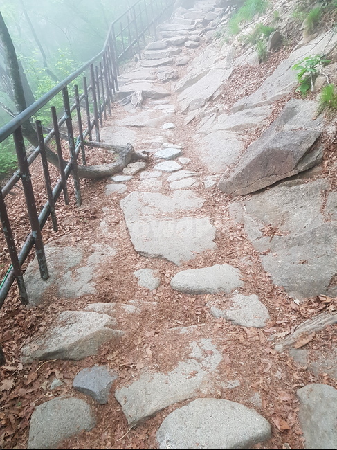 설악산,산,자연,풍경,나무,안개자욱,설악산정상,안개,설악산안개,숲,숲속안개,바위,돌
