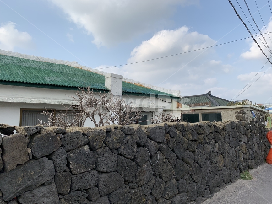 협재,애월,제주돌,조용한마을,집,제주도,jeju,jeju island,시골,마을,풍경,landscape,country,rural,town