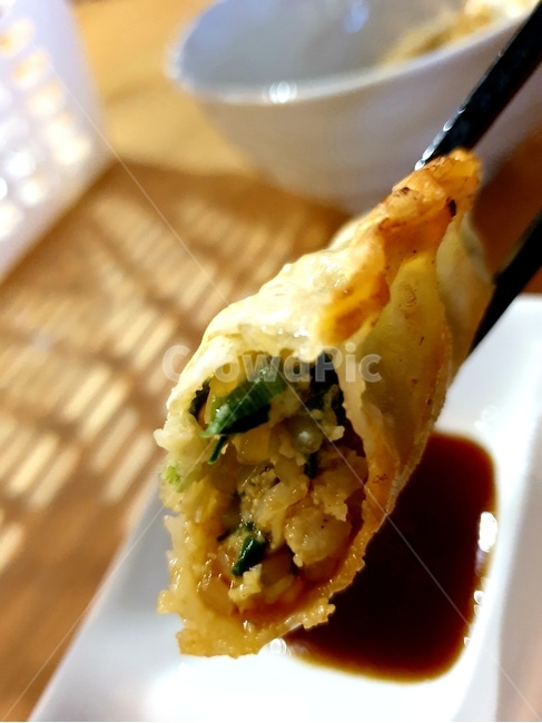food,음식,만두,간장,군만두,간식,meal,식사,음식,식재료,요리,food,cook,meal,dishes,food reserves