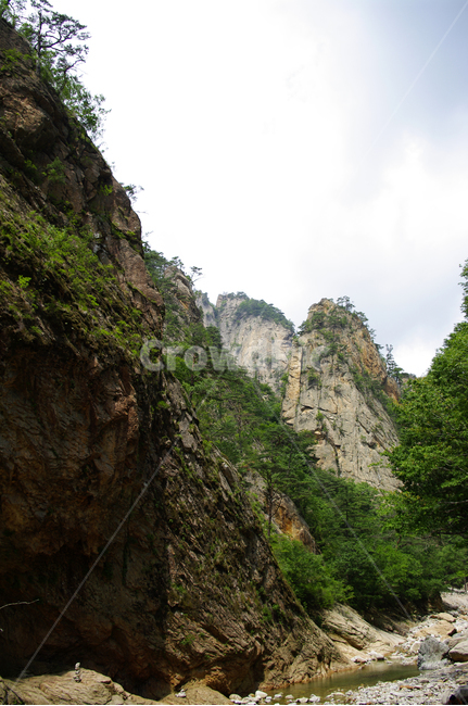 산,바위,암석,풍경,나무,자연,풍경,nature,landscape,cliff,낭떠러지,outdoors,옥외